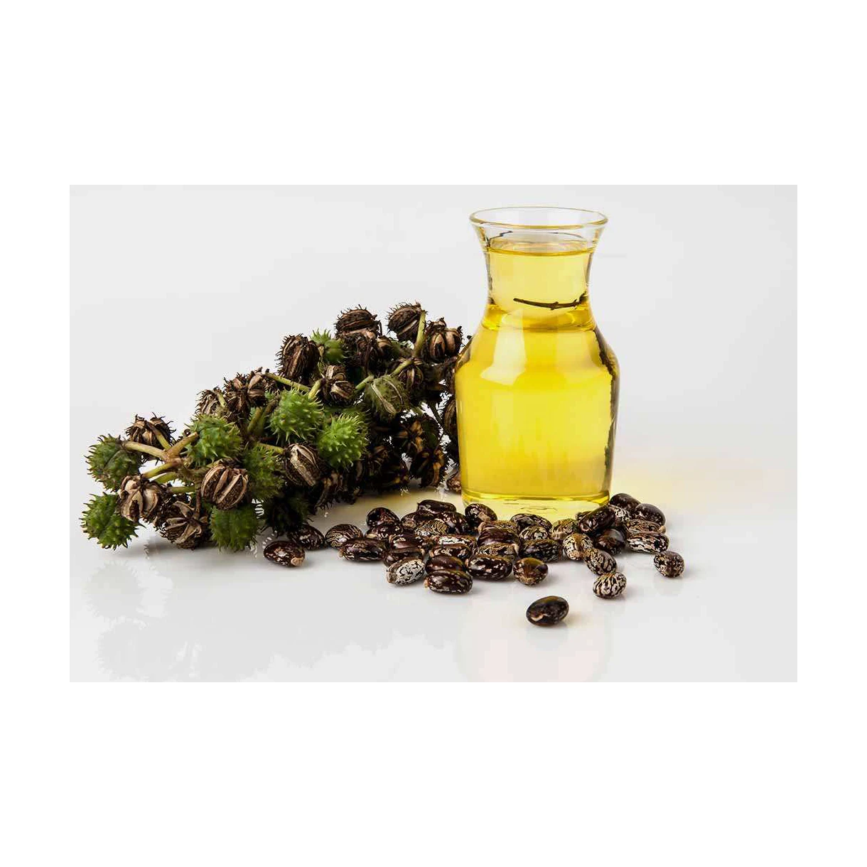 Manufacturer supply wholesale 100% Pure Organic Jamaican Black Castor Oil