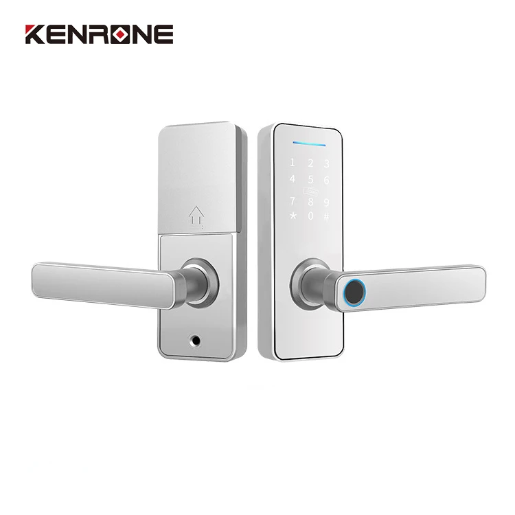 High Security Anti Theft Smart Door Lock  Blue Tooth Ttlock Electronic Fingerprint Smart Lock