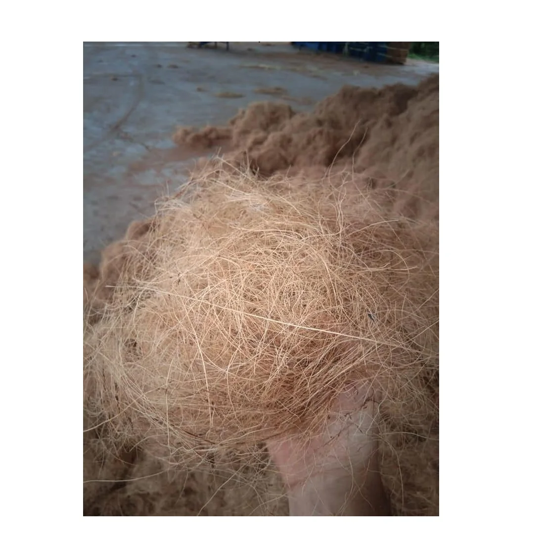 Top Selling 2022 Export of Coconut Fiber Coco Fiber Manufacturers Suppliers Wholesalers Export From Indonesia