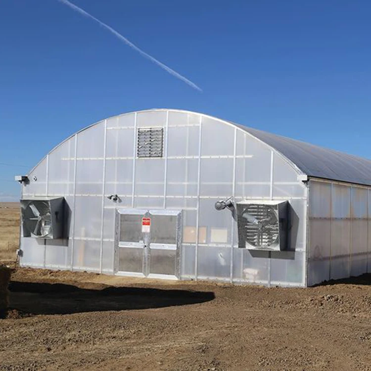 PC Board Greenhouse Single-span Arch Agricultural Polycarbonate Greenhouses For Sale
