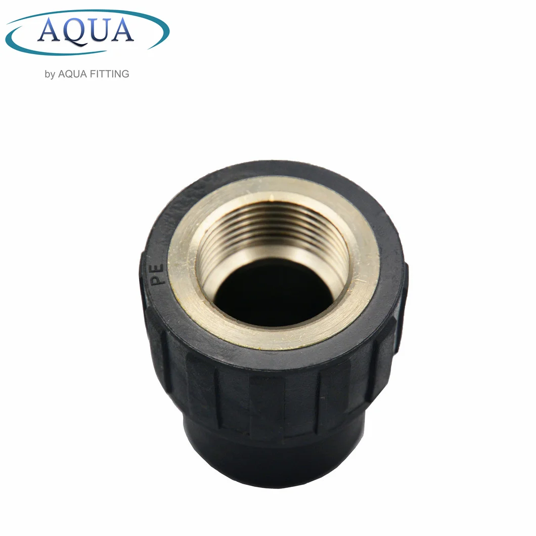 External Thread HDPE Pipe Fittings PE Female Threaded Coupling