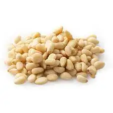 Organic Pine Nut Kernel For Sale