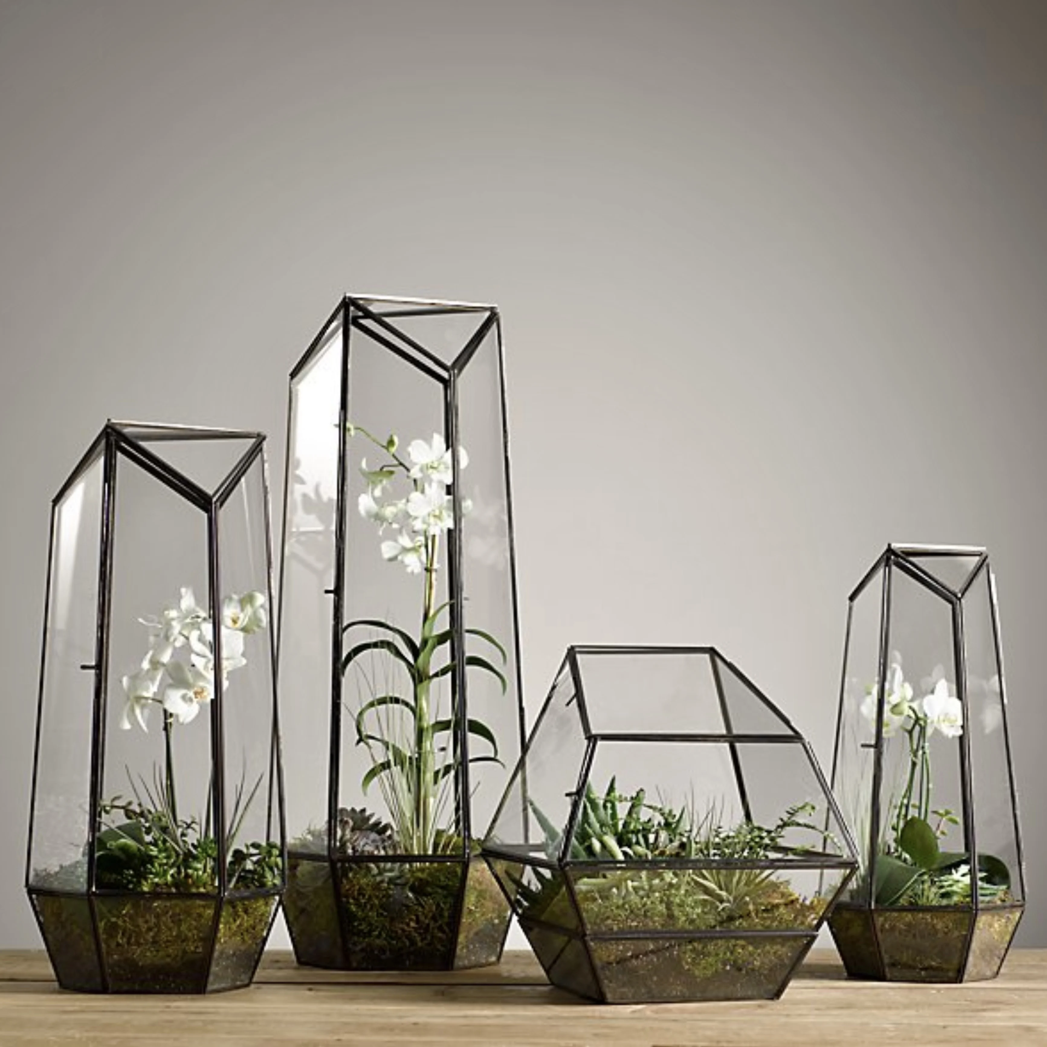 Wholesale Decorative Glass Metal Framed Plant Terrariums in Different Customized Shapes, Sizes for Home and Garden Decoration
