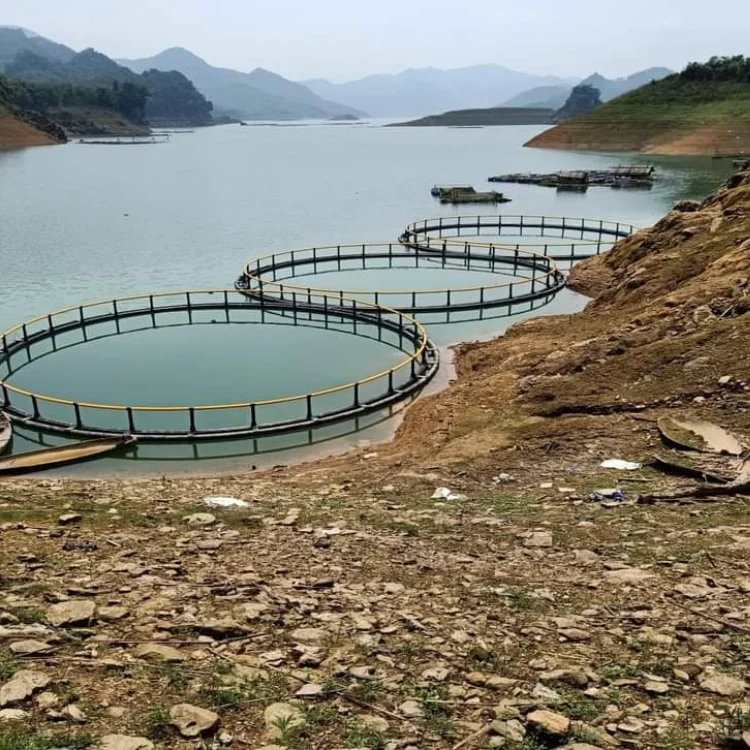 Best Sale Offshore Fish Farming Cages Fish Farm Floating Cages Aquaculture Float From Vietnam Manufacturer
