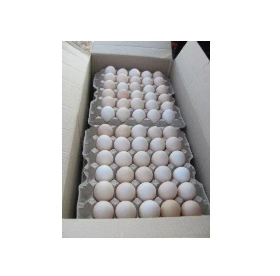 Fresh White and brown table eggs