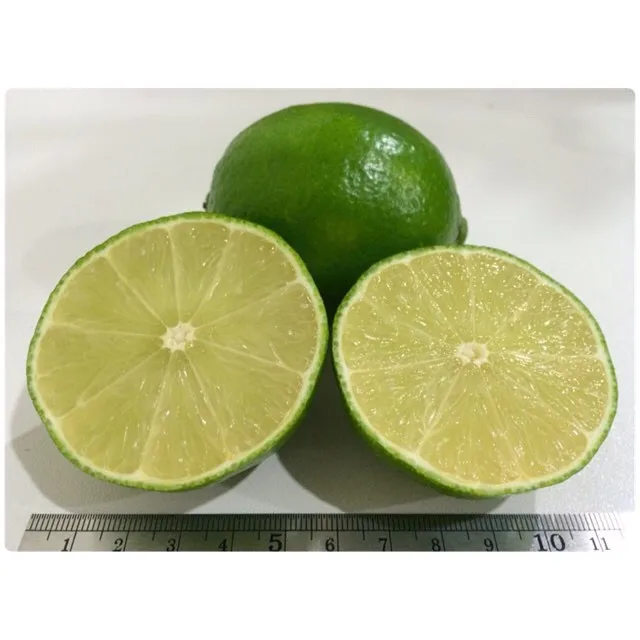 Wholesale Fresh Premium Persian Lime - Top Quality, Best Price, Directly From Producers South Africa
