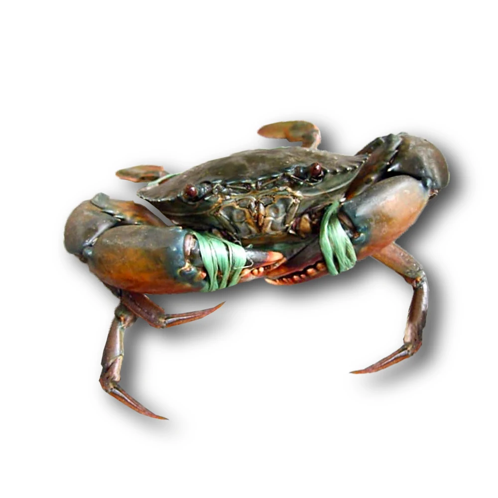 Лучший Королевский Краб из