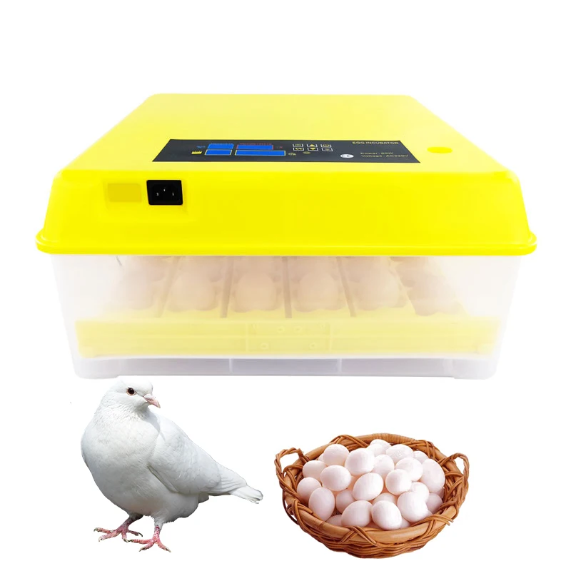 112 Eggs 12V 220V Incubator Full Automatic Chicken Egg Incubator Hatcher Egg Incubator For Sale In Uae