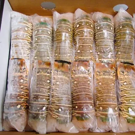 2023 New Product frozen Lobster live whole crayfish seasoned spicy crawfish now available