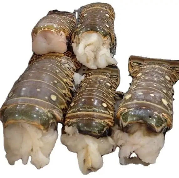 Frozen Fresh Live Lobster - Green Lobster -Jumbo Size Lobster