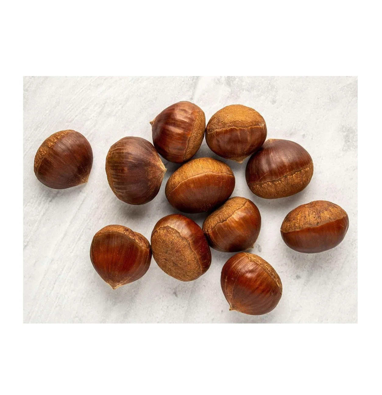 New harvest crop Fresh Chestnut in Shell best price