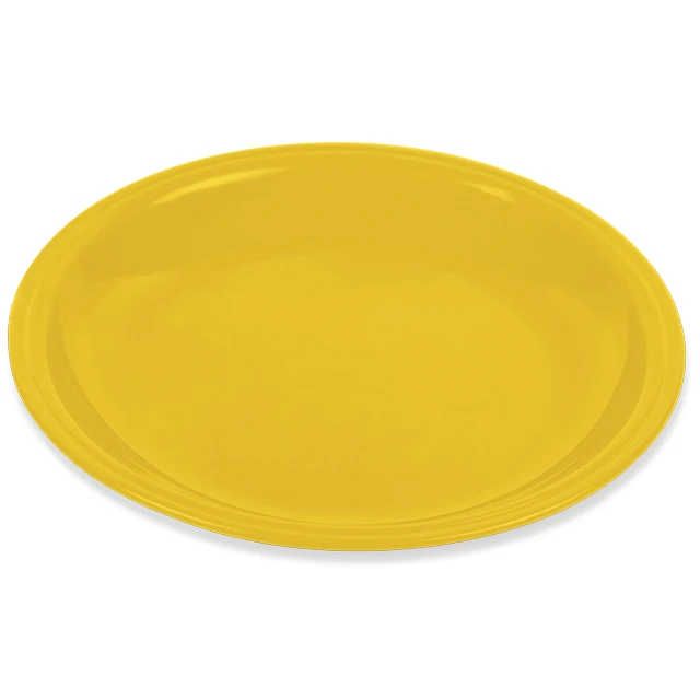 Saga Plate Large 10 Inches Reusable Party Plates