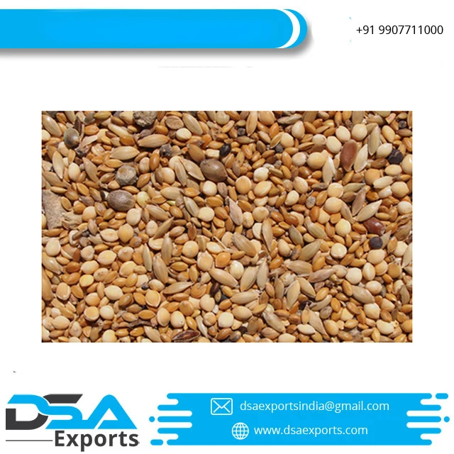 High Quality Green Pigeon Peas food grade frozen dried and fresh Bulk Style Storage Packing