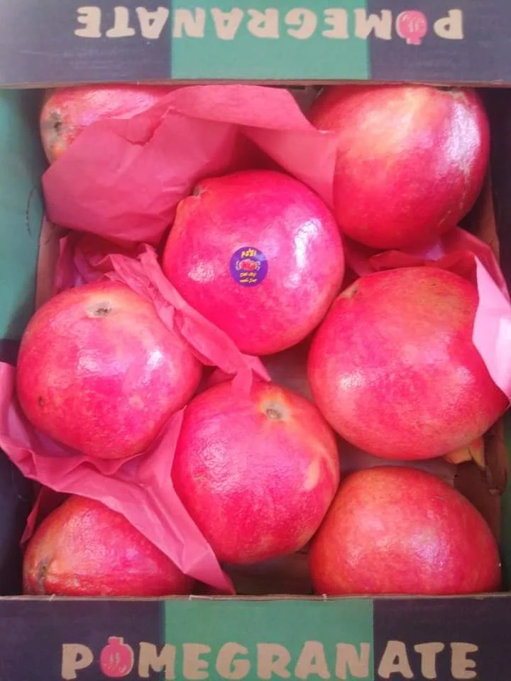 fresh pomegranate