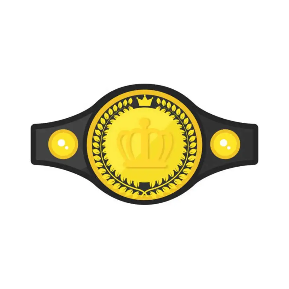 Высококачественный изготовленный на заказ пояс для борцовки MMA Muay Thai Kick Boxing борьба карате Единоборства чемпионский