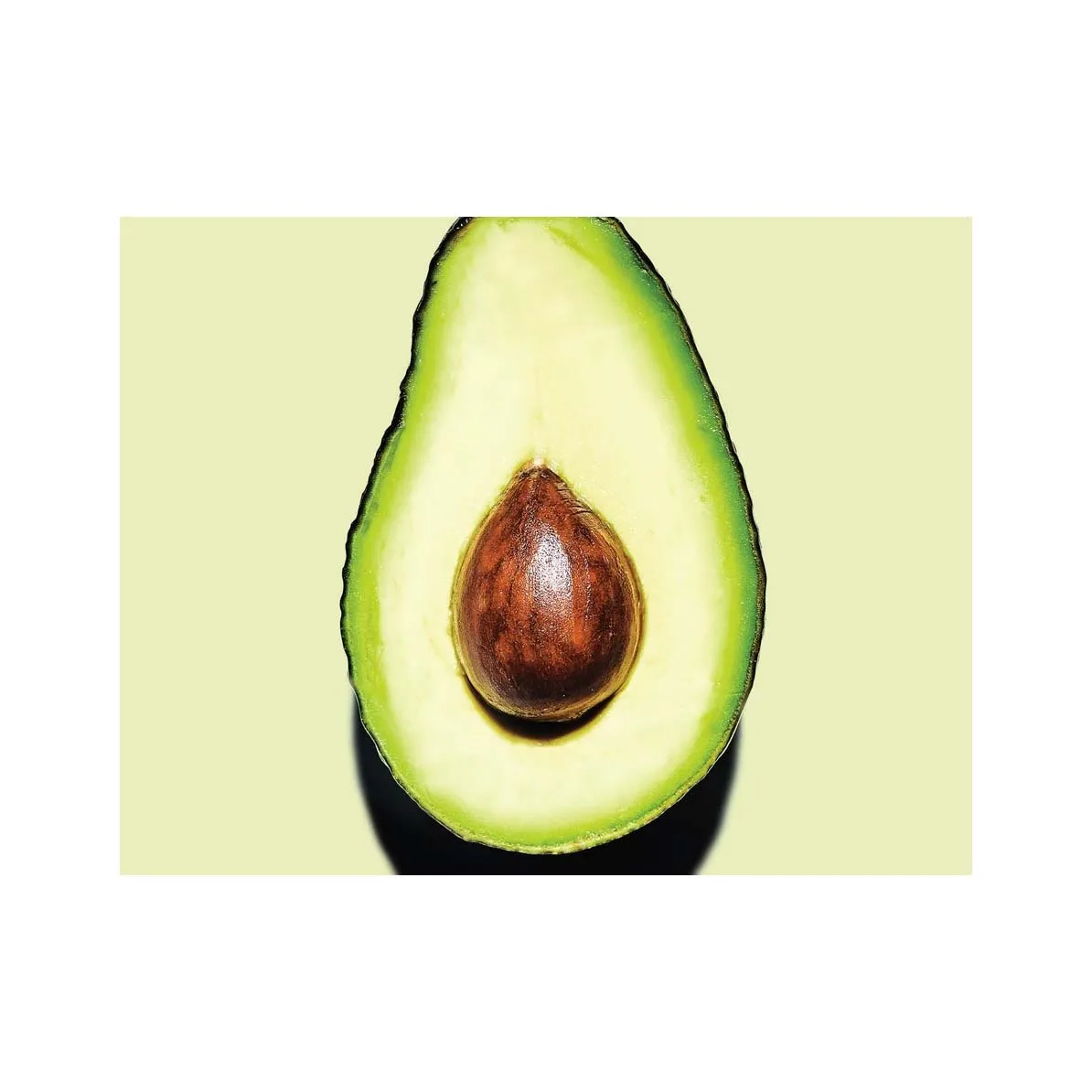 Fresh Avocado For Worldwide Export - Fresh Avocado at Best Price for Wholesaler