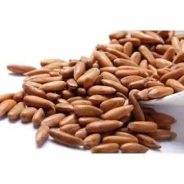 Bulk Pine Nuts For Sale