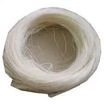 download (1) (1).jpg