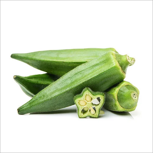 Лучший продавец свежих овощей Okra по низкой