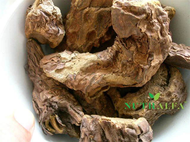 Трава ревеня Rheum emodi 100% натуральный травяной растительный экстракт медицинские растения