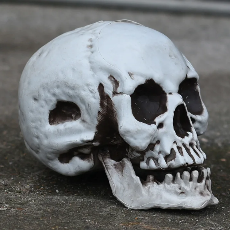 Halloween Prop Skulls Realistic Looking Scary Human Life Size Skeleton Head Plastic Skeleton Model for Party Garden Decoration
