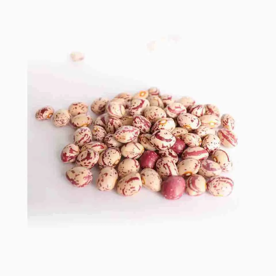 Wholesale Cranberry Jugo Red Speckled Kidney Beans sugar pinto beans