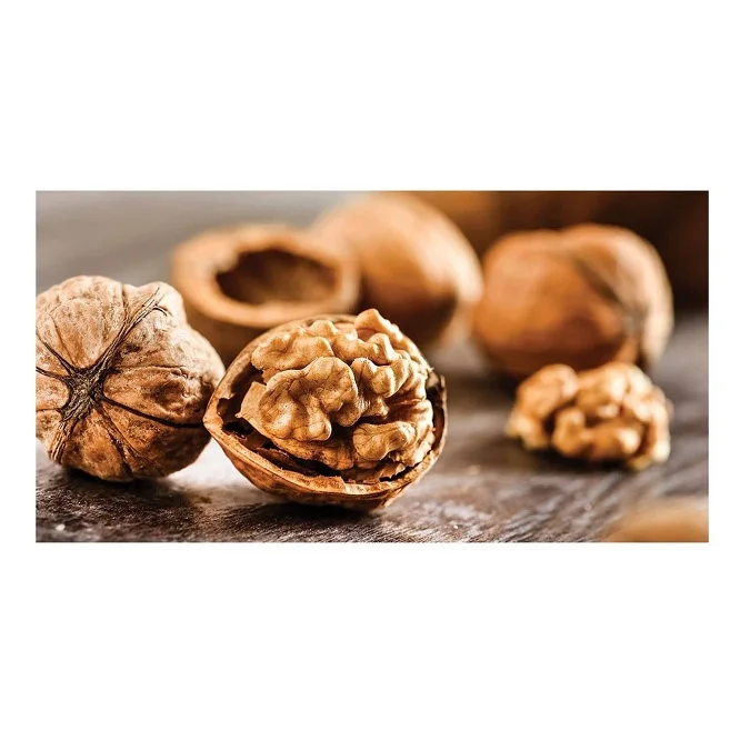 organic walnuts Wholesale Raw 100% Natural Walnut Nutritious Fresh Quality