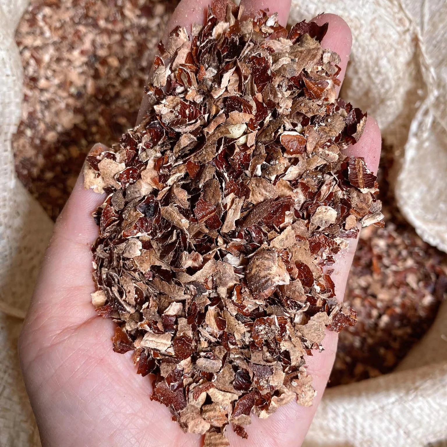 Экспорт-высококачественная вьетнамская шелуха кешью по складской цене-горячая сделка 2024