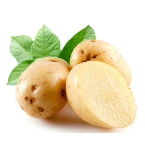 Vietnam potatoes supplier fresh new crop potatoes wholesale fresh prices for export fresh potatoes