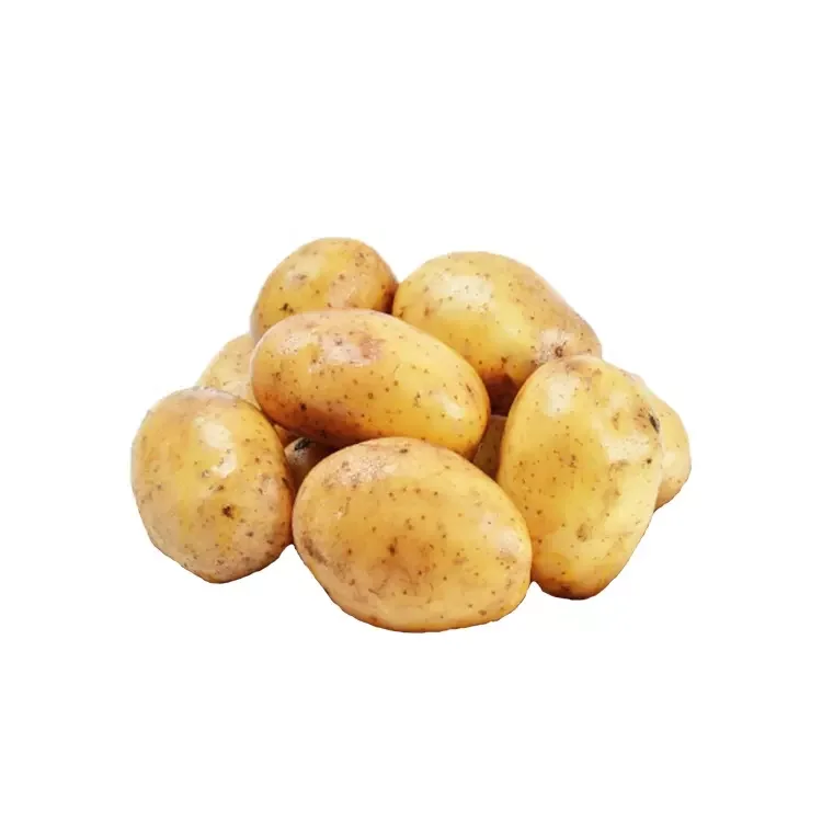 Свежий желтый картофельный