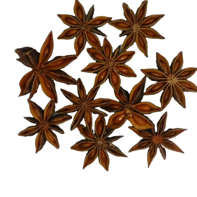 Autumn star anise new crop Vietnam products manufactory product spices and Dried Star Anise Superior new autumn season 2023