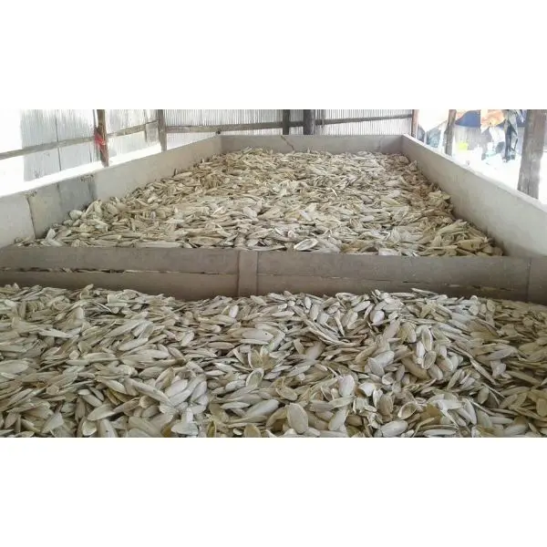 Available For Largest Supply Best Grade (A) Cuttlefish Bone/Squid Bone For Birds