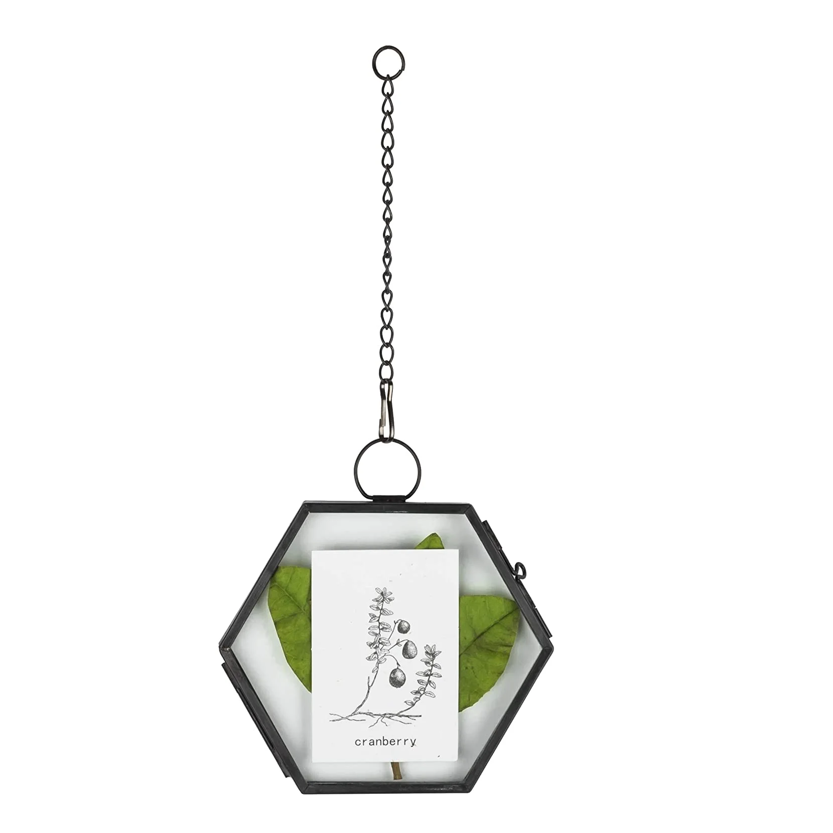 Best Selling Metal Photo Frame Customized Finished Handmade Fancy Photo Holder Vintage Wall Hanging Iron And Glass Photo frame