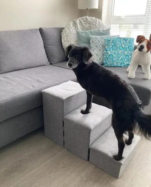 Foldable & Adjustable Pet Dog Stairs Ladders with Storage Compartments, hold up to 120lbs