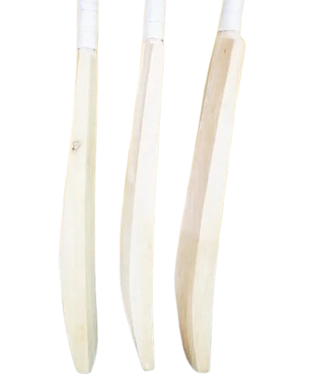 Professional Players High Quality Alum Tanned Leather Cricket Ball English Willow Cricket Bat