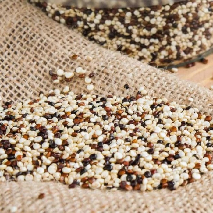 Pure red quinoa seeds, 100% natural organic from peru
