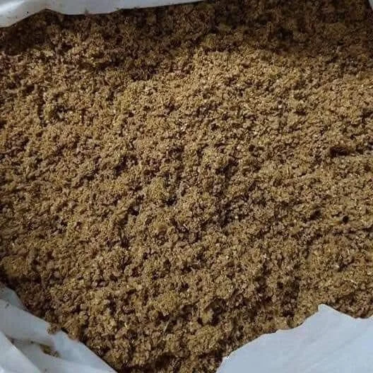 BEER RESIDUE /BEER RESIDUE POWDER/ DRIED BREWERS GRAINS -50% PROTEIN ( Jolie- whatsapp +84902679738)