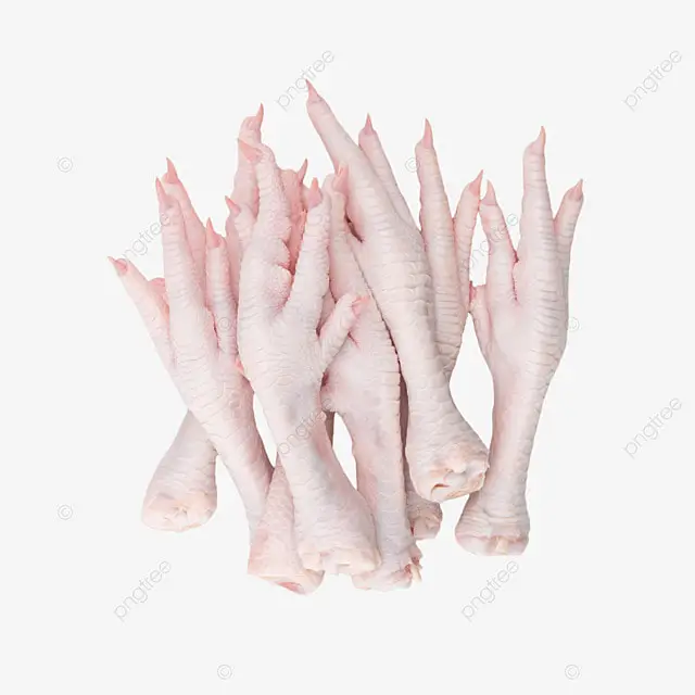 Chicken leg socks Frozen Chicken leg Quarters Chicken Paw