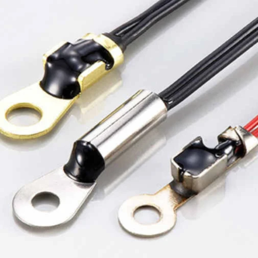 Heat sink temperature sensors for inventors and UPS-Superior Quality NTC Thermistors ******