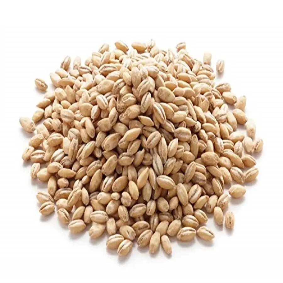 Ukraine Hulled & Pearl Barley seed/Hot Sales Organic Malting Barley / Whole Barley Grains