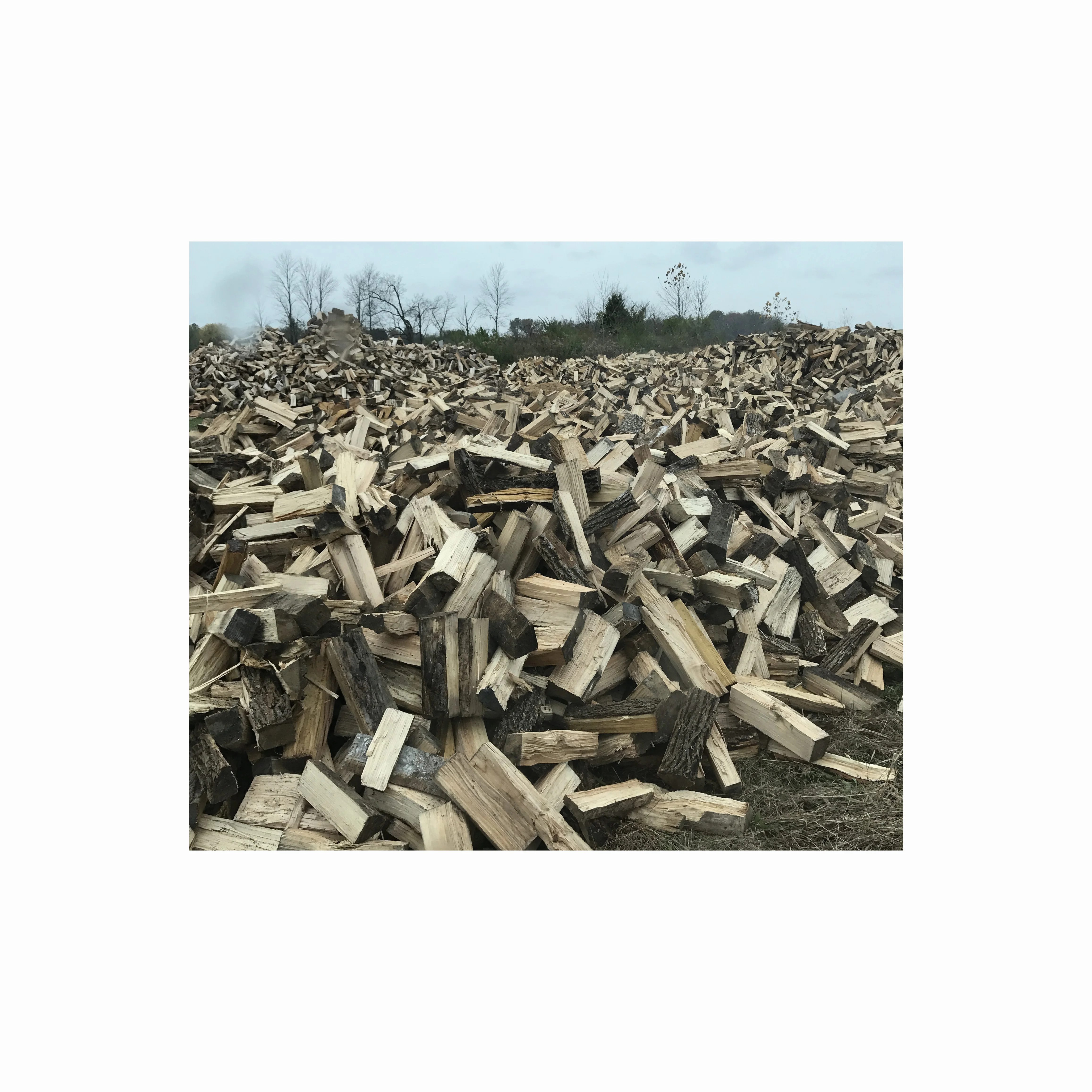 Древесина тикового дерева/бревна дуба для продажи по доступной цене лидер продаж древесина дуба/Древесина/бревна оптом оптовая цена