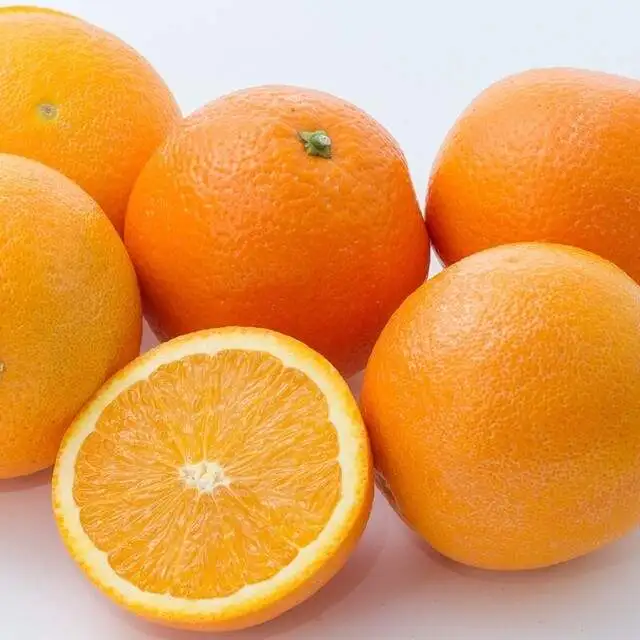 Strong discount with fresh orange  type navel  hot selling market in fruit with competitive price