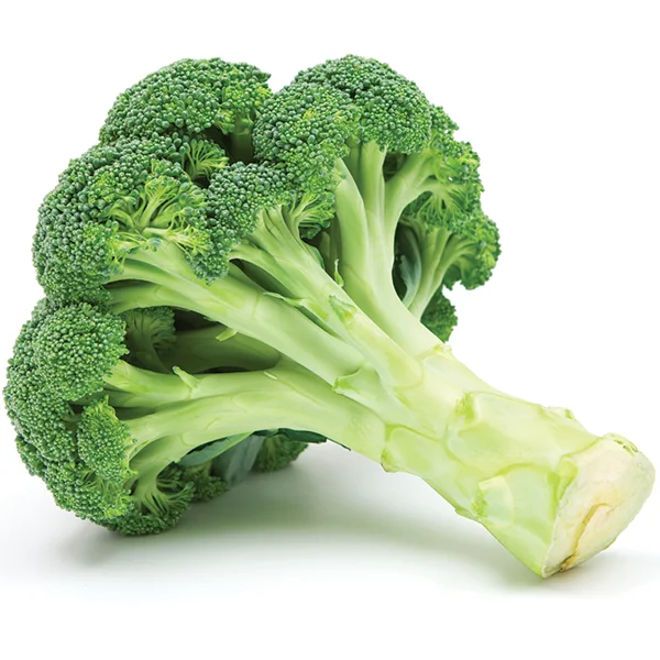 Best Price And Service Wholesale Bulk IQF Frozen Vegetable Broccoli