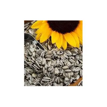 Seeds Ready For Export Factory Direct Sales Healthy Pure Natural Vegetable Nuts Newest Crop Organic Bulk Sunflower Seeds