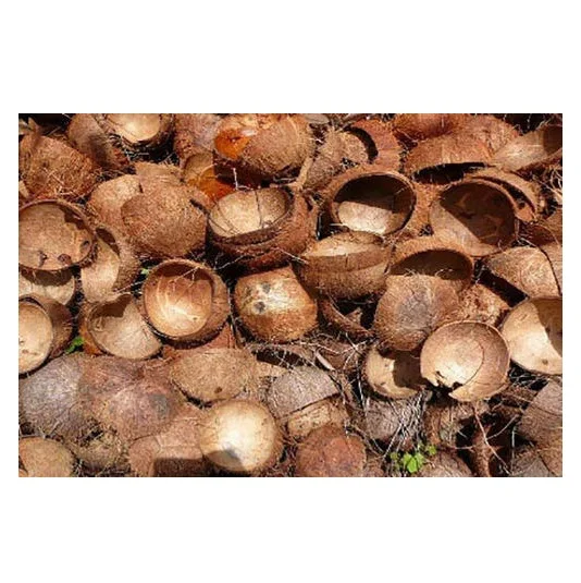 Wholesale Price Raw Coconut Shell Material Agriculture Waste Bulk Stock Available For Sale