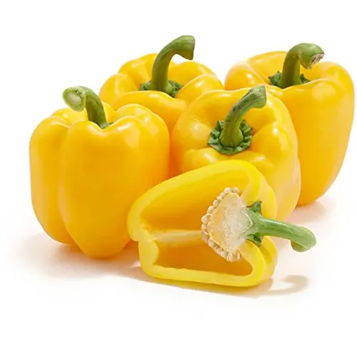 100% FRESH CAPSICUM FOR SALE AT WHOLESALE PRICES.