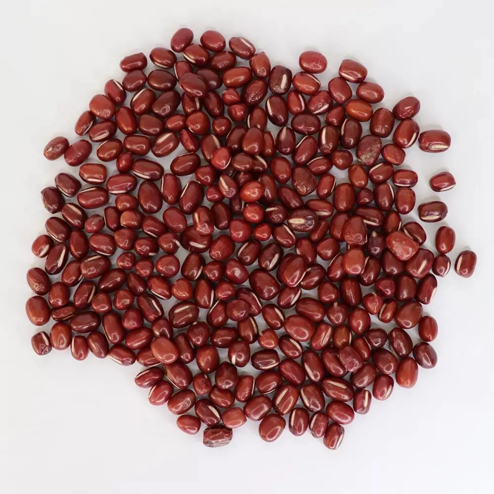 Red Beans.jpg