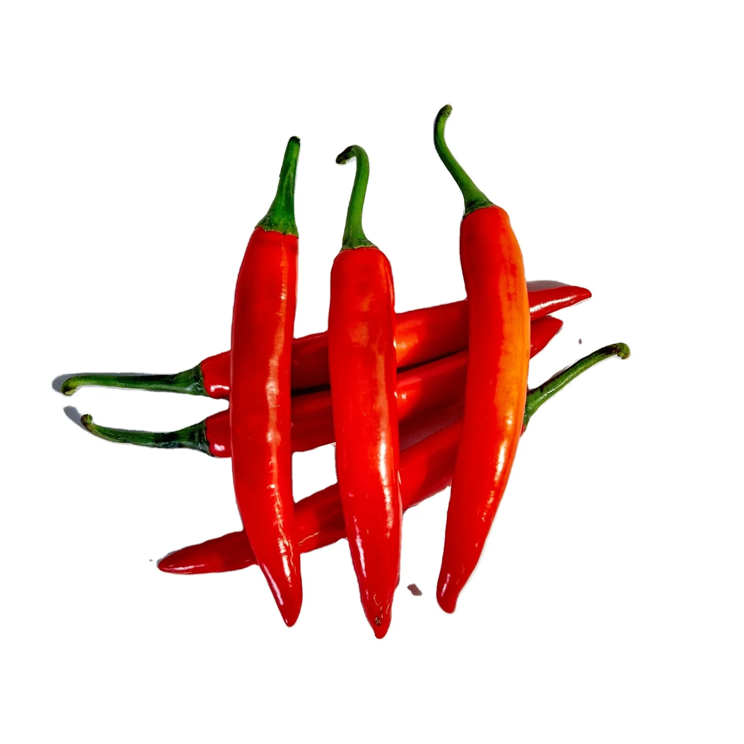 Wholesale Vietnam Of Cheapest Price Fresh Chili Pepper Fresh Capsicum 100% Natural Seasoning New Crop Chili Pepper High Quality