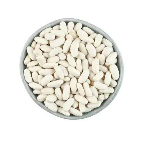 Wholesale Supplier Of Bulk Fresh Stock of Organic Dried White Kidney Beans