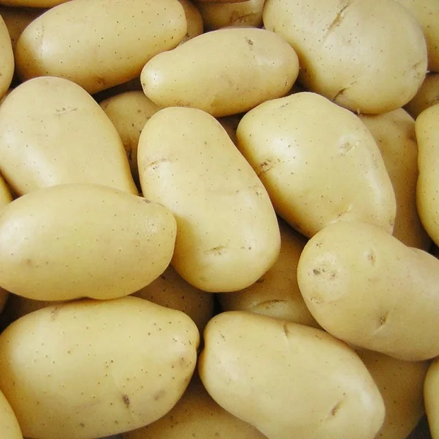 Тип дешевая цена для свежего картофеля органический свежий сладкий картофель свежий картофель цена за тонну